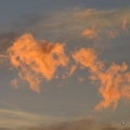 DSC_0089 (1)orange cloud